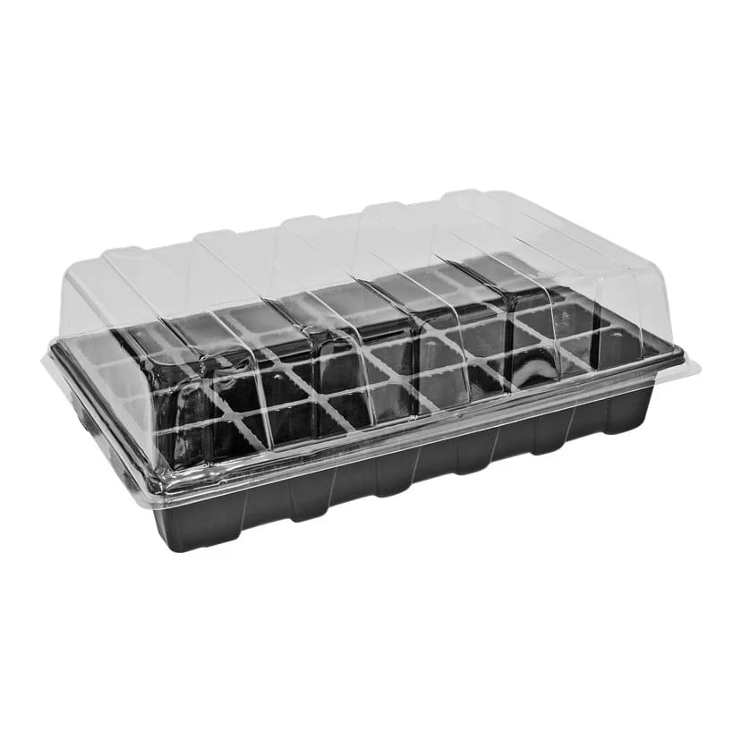Automotive exterior, Rectangle
