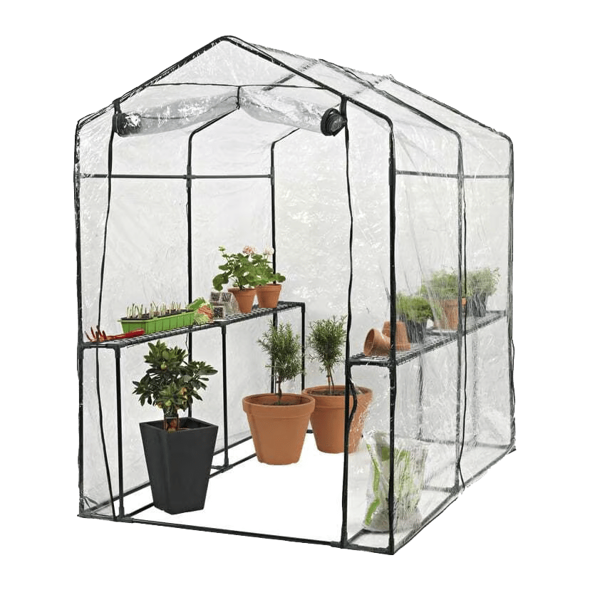 Pet supply, Plant, Flowerpot, Houseplant, Rectangle