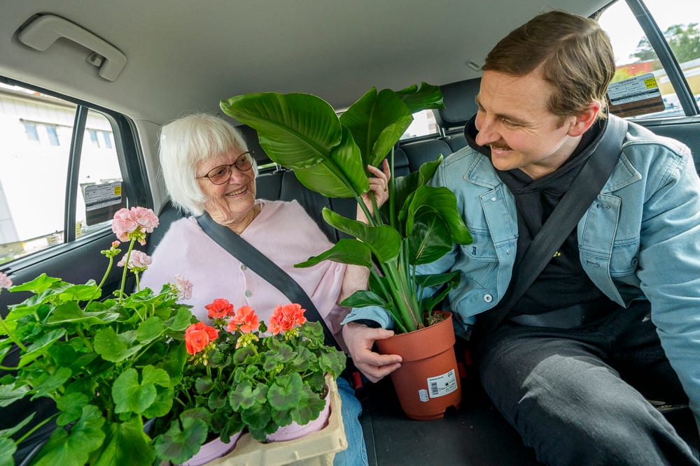 Flowerpot, Houseplant