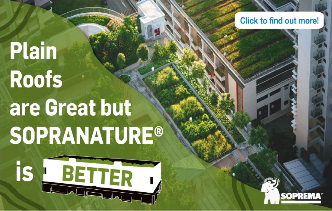 Land lot, Urban design, Plant, Building, Nature, Botany, Vegetation, Tree, Grass, Condominium
