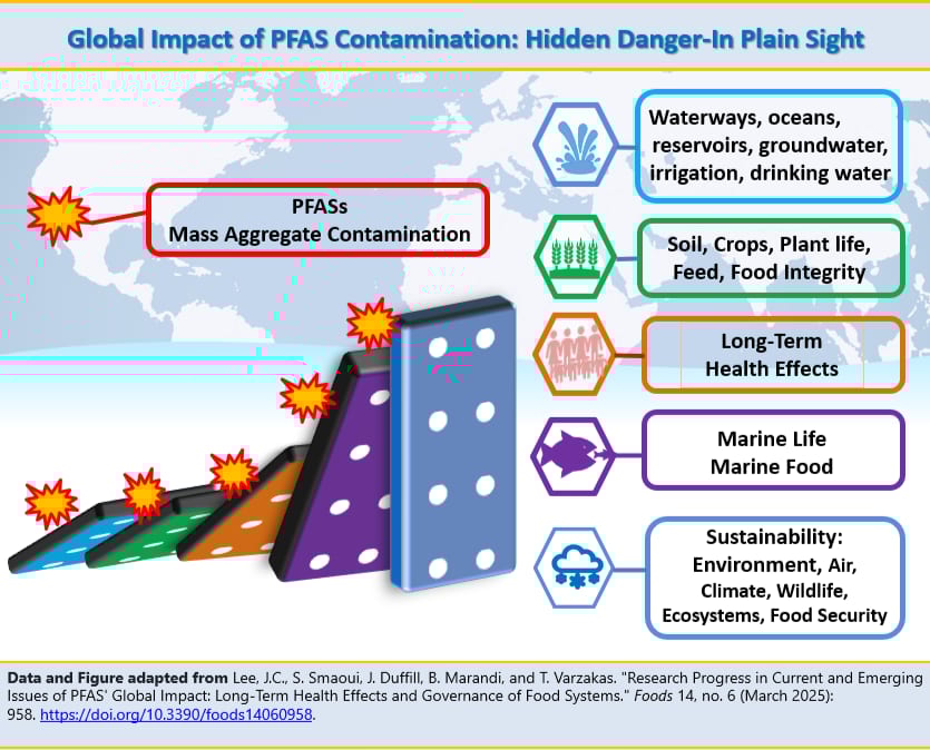 Diagram showing PFAS contamination's global domino effect on water, soil, health, and ecosystems.
