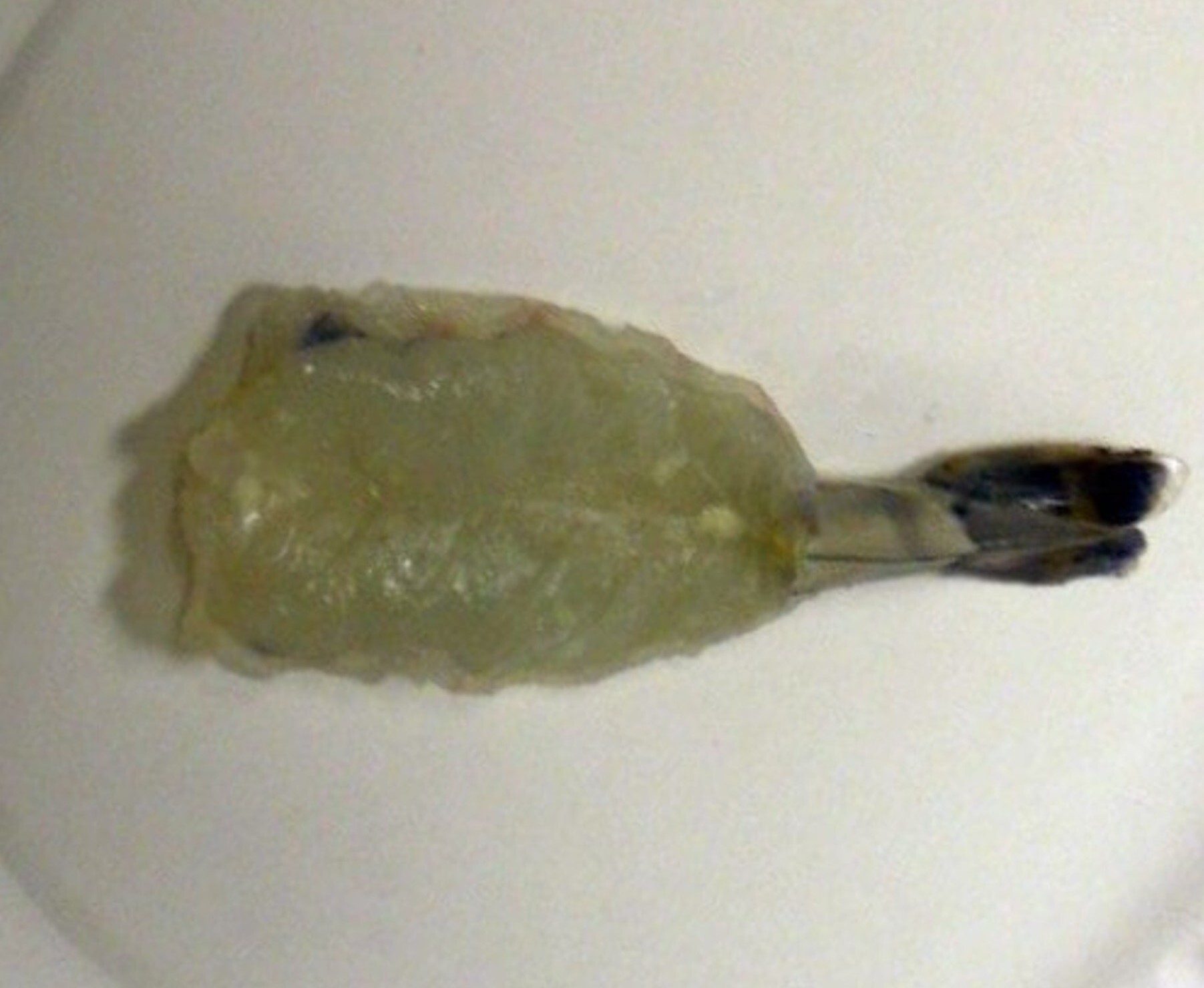 A peeled, deveined shrimp with its tail intact, lying on a white surface.