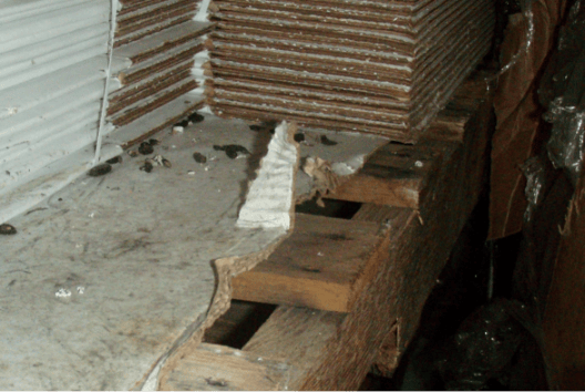 Wood