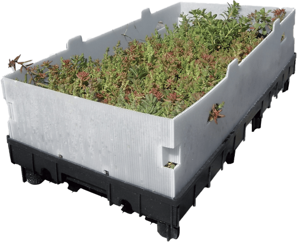 Plant, Rectangle, Flowerpot, Flower