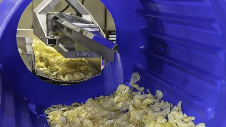 Potato chips moving through a factory production line, being seasoned with a white powder inside a large blue container.
