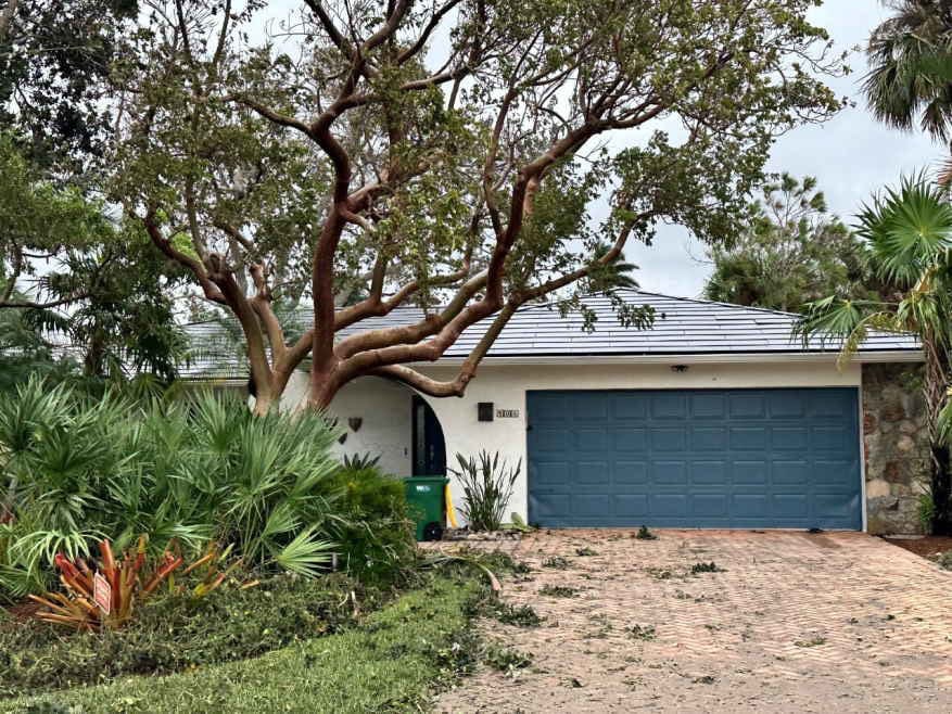 Land lot, Woody plant, Property, Building, Tree, House, Grass, Sky