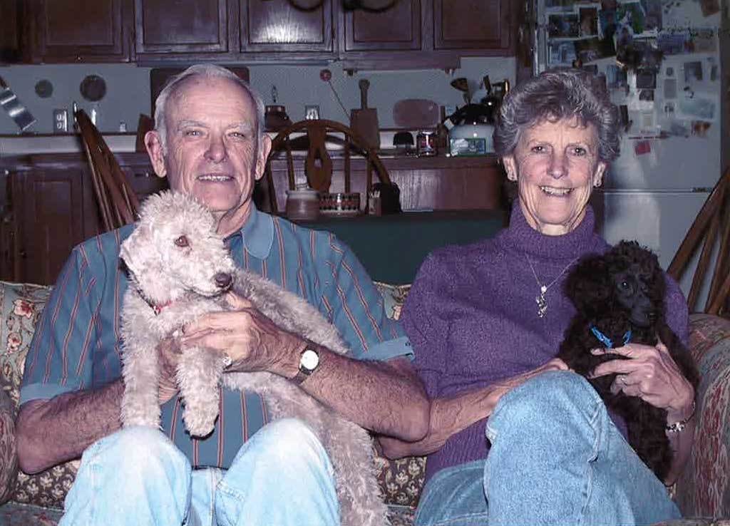 Dog breed, Vertebrate, Smile, Mammal, Carnivore, Lap, Fawn