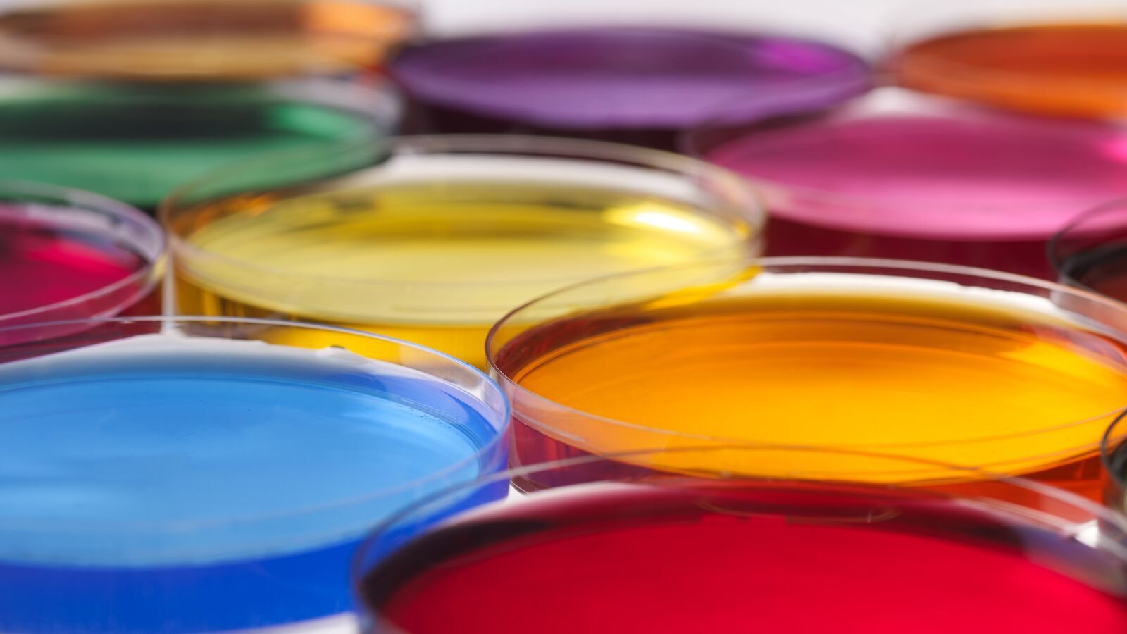 Colorful liquids in multiple petri dishes.