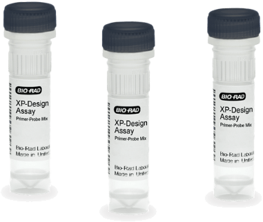 Laboratory equipment, Plastic
