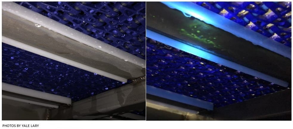 Automotive lighting, Blue, Product, Purple, Rectangle, Violet, Building, Hood, Grille