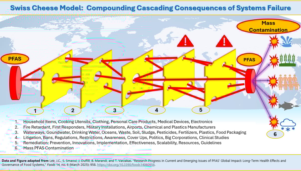 Swiss Cheese Model: PFAS mass contamination & system failure cascading consequences.