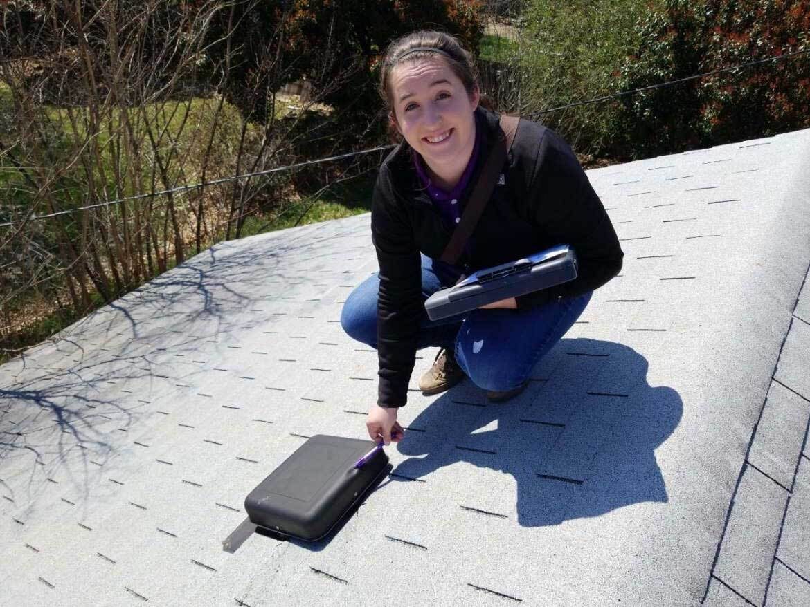 Road surface, Smile, Plant, Wood