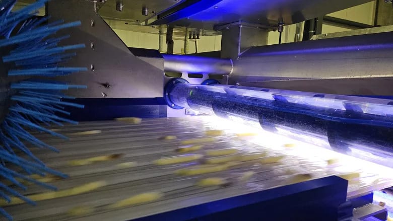 French fries move on a conveyor belt under illuminated processing machinery with blue brushes.