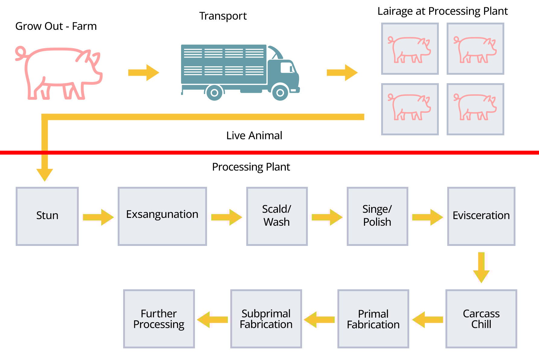 Flowchart of pig processing: farm to transport, lairage, then slaughter and butchering steps.