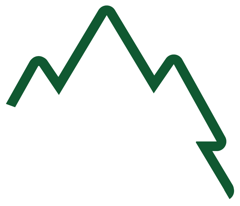 An abstract dark green line icon of mountains or a mountain range.