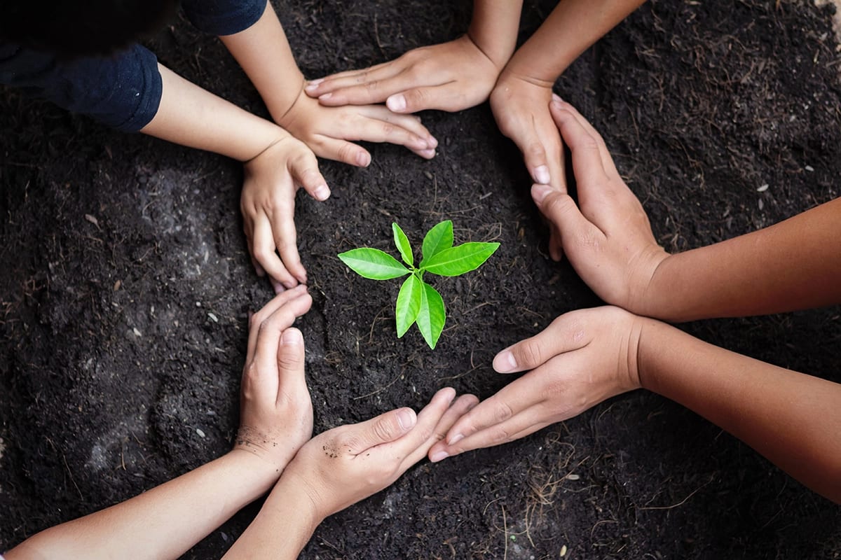 Arbor Day, Finger, Agriculture