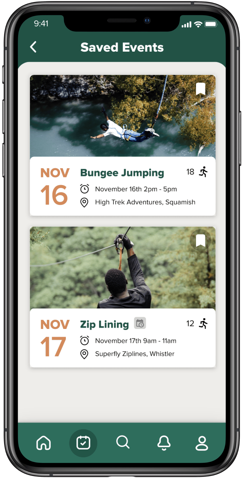 Terrestrial plant, Font, Tree