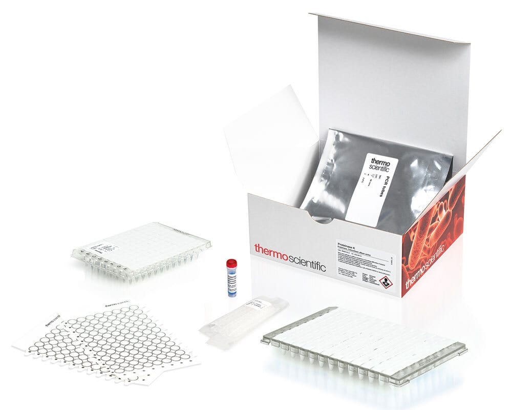 Thermo Scientific PCR kit with plates, tubes, and reagents.