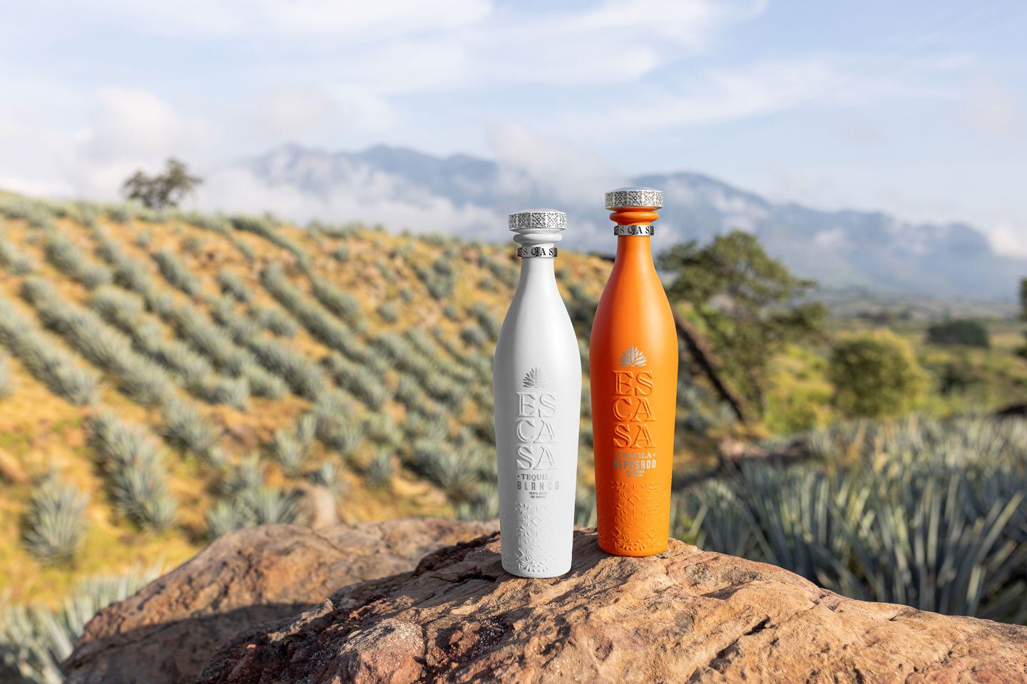 Bottle, Orange