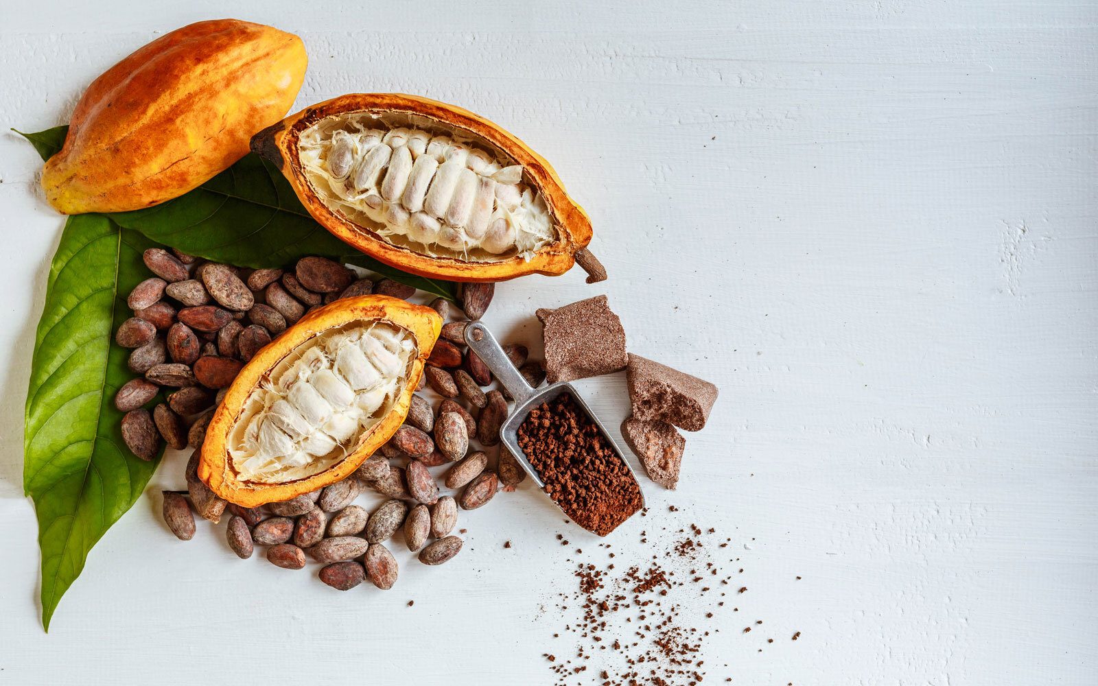 Cocoa: whole & open pods, raw beans, ground powder in scoop, and chocolate pieces on white.