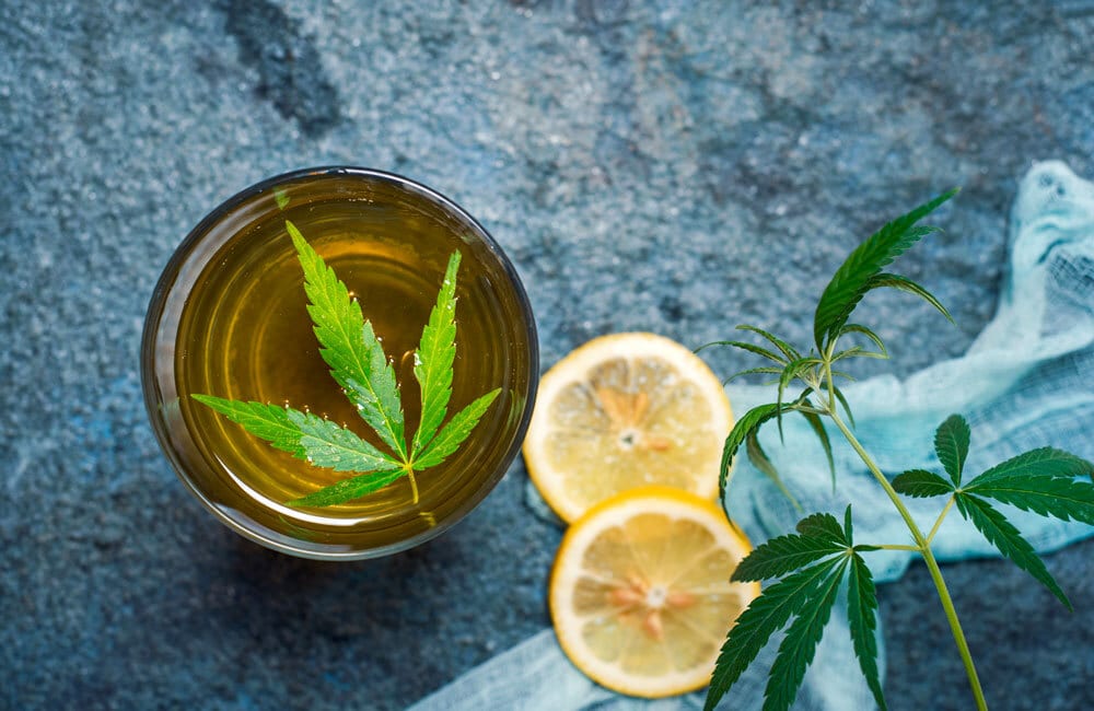 Cannabis tea in a glass with a floating leaf, accompanied by lemon slices and a cannabis sprig.
