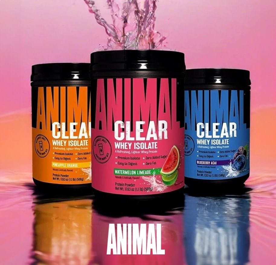 Sports recovery, nutrition, health and wellness, protein, plant protein, gut health