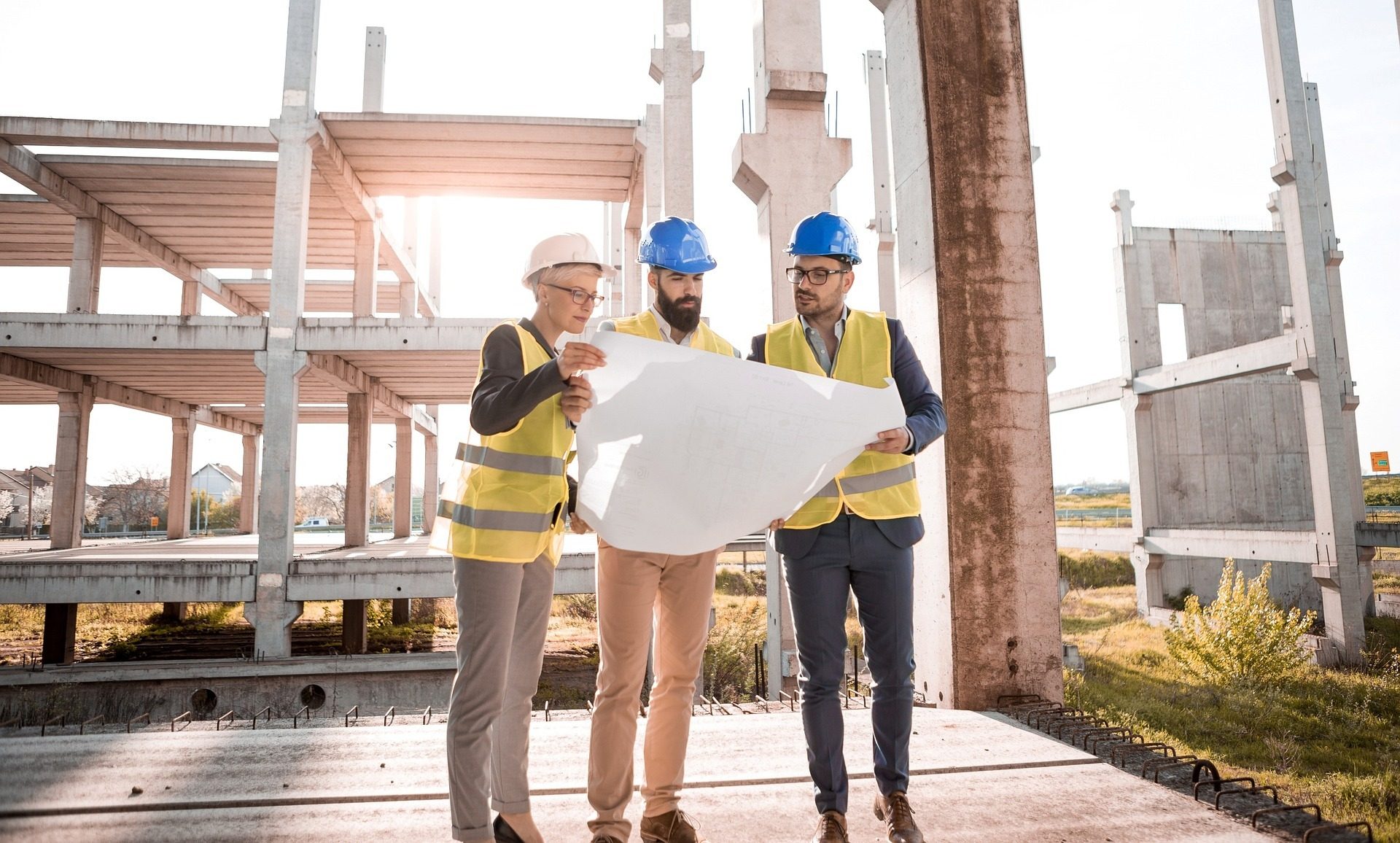 Hard hat, Plant, Workwear