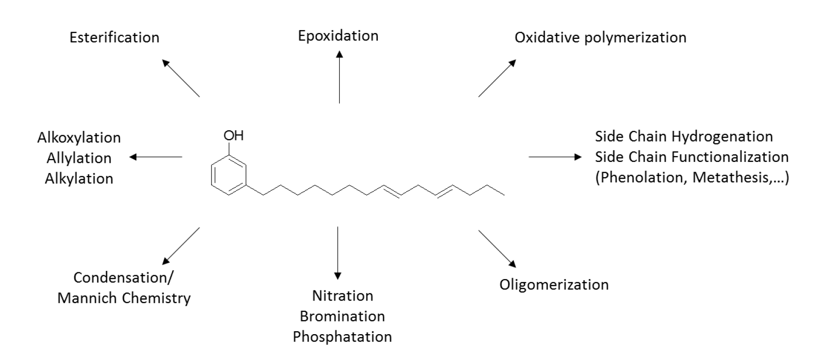Diagram of a long-chain alkylphenol molecule at the center, with arrows pointing to diverse chemical reactions.