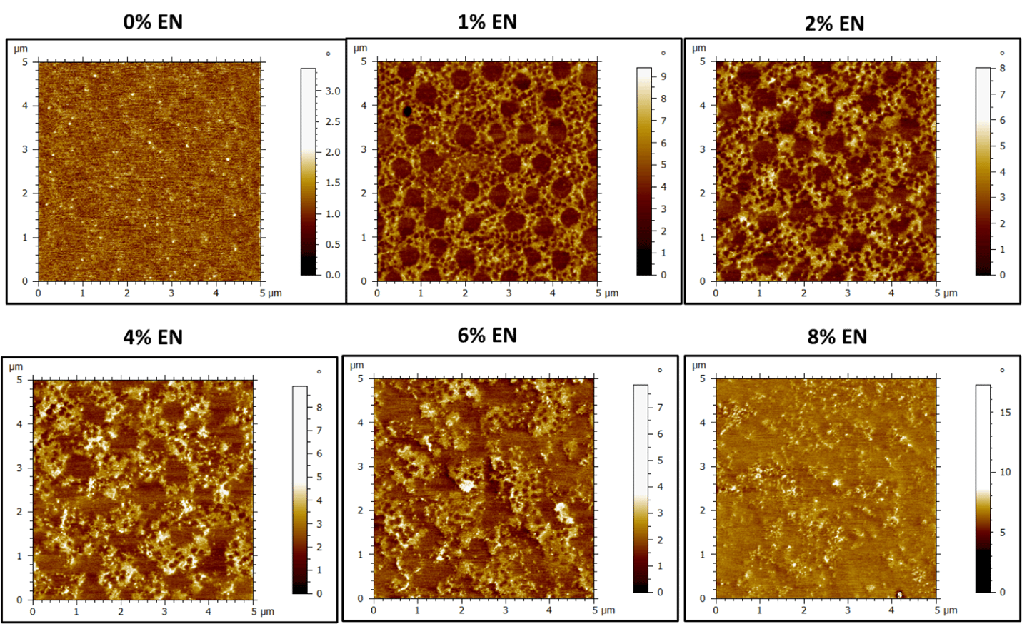 AFM images showing surface morphology evolution with 0-8% EN concentration.