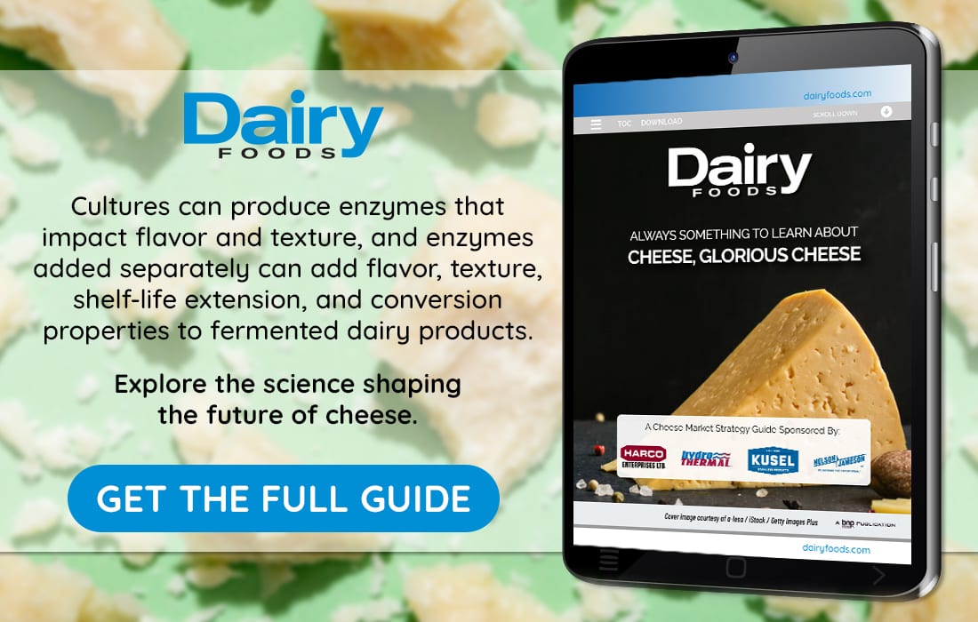 Dairy Foods ad for a cheese science guide, with descriptive text and a smartphone showing the guide.