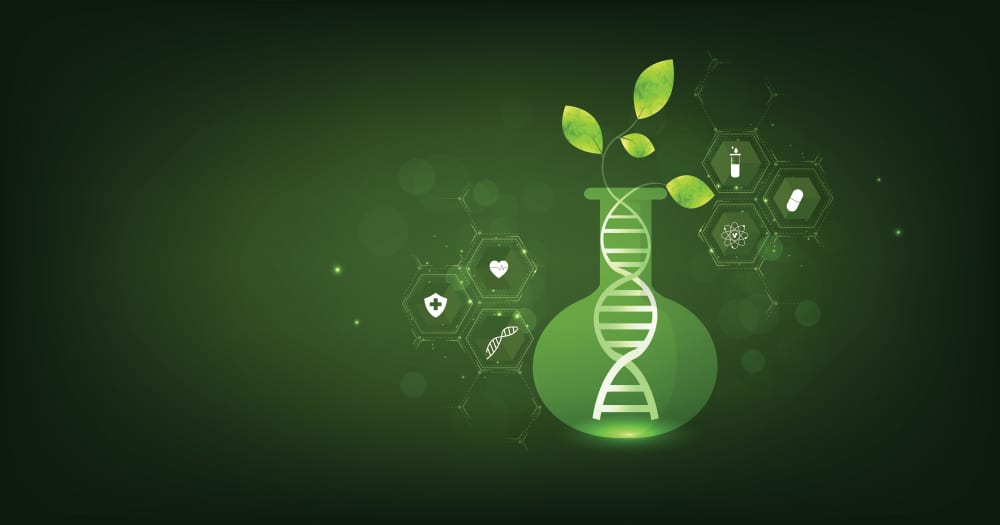 Green illustration: flask with DNA, plant leaves, and science/medical icons on a dark background.