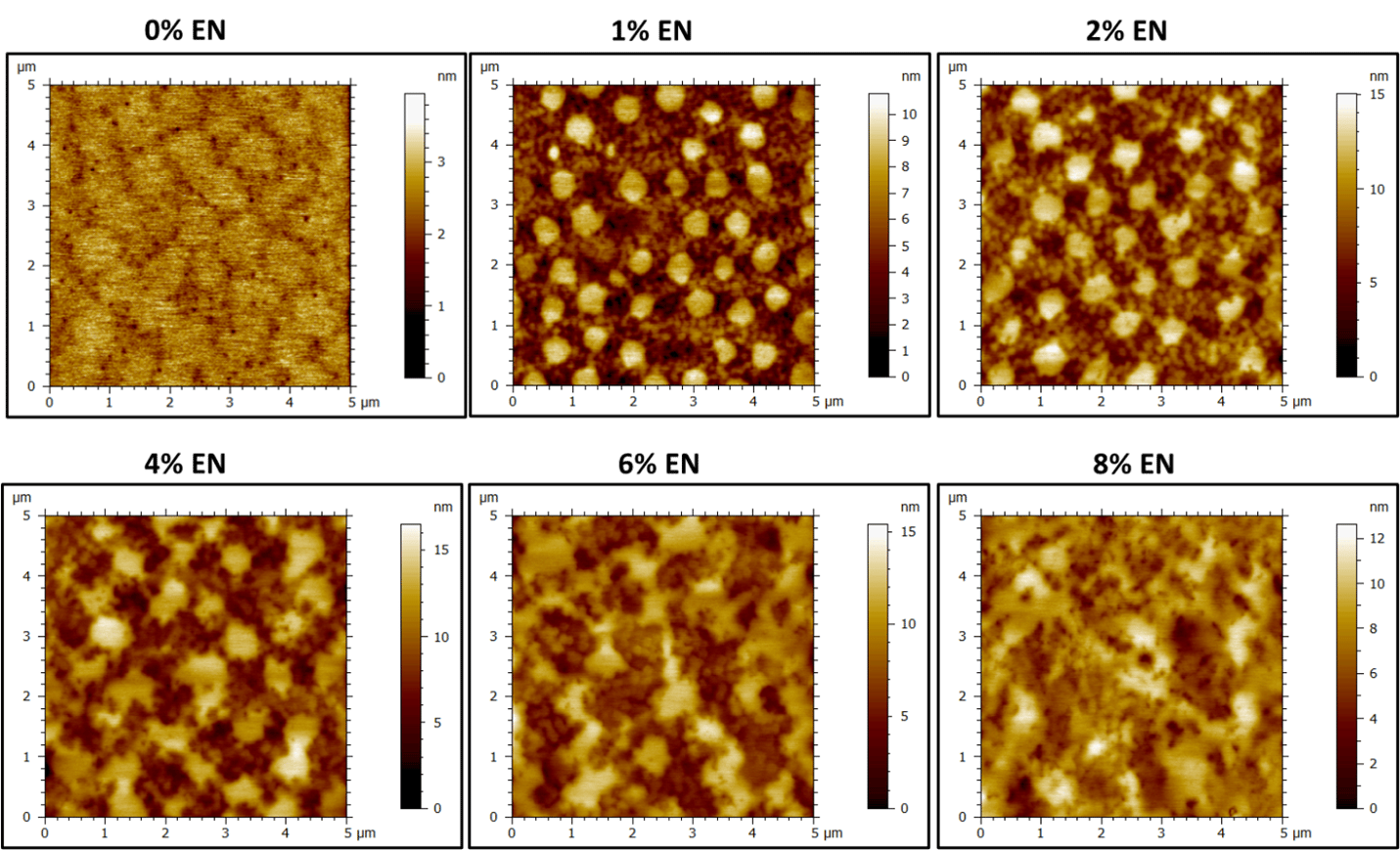 AFM images: surface morphology evolution from smooth to distinct islands then aggregated with 0-8% EN.