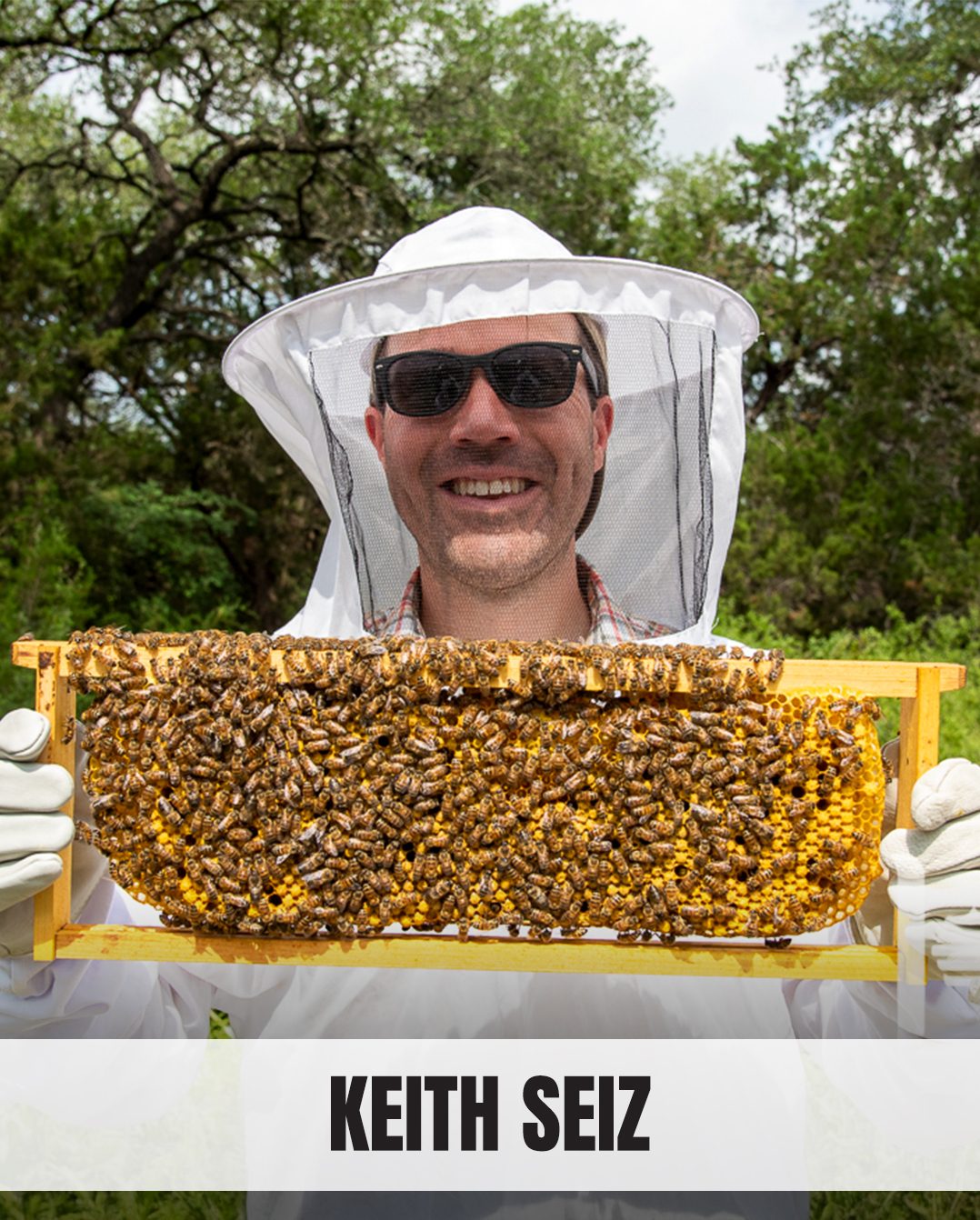 Smiling beekeeper Keith Seiz holds a bee-covered frame.