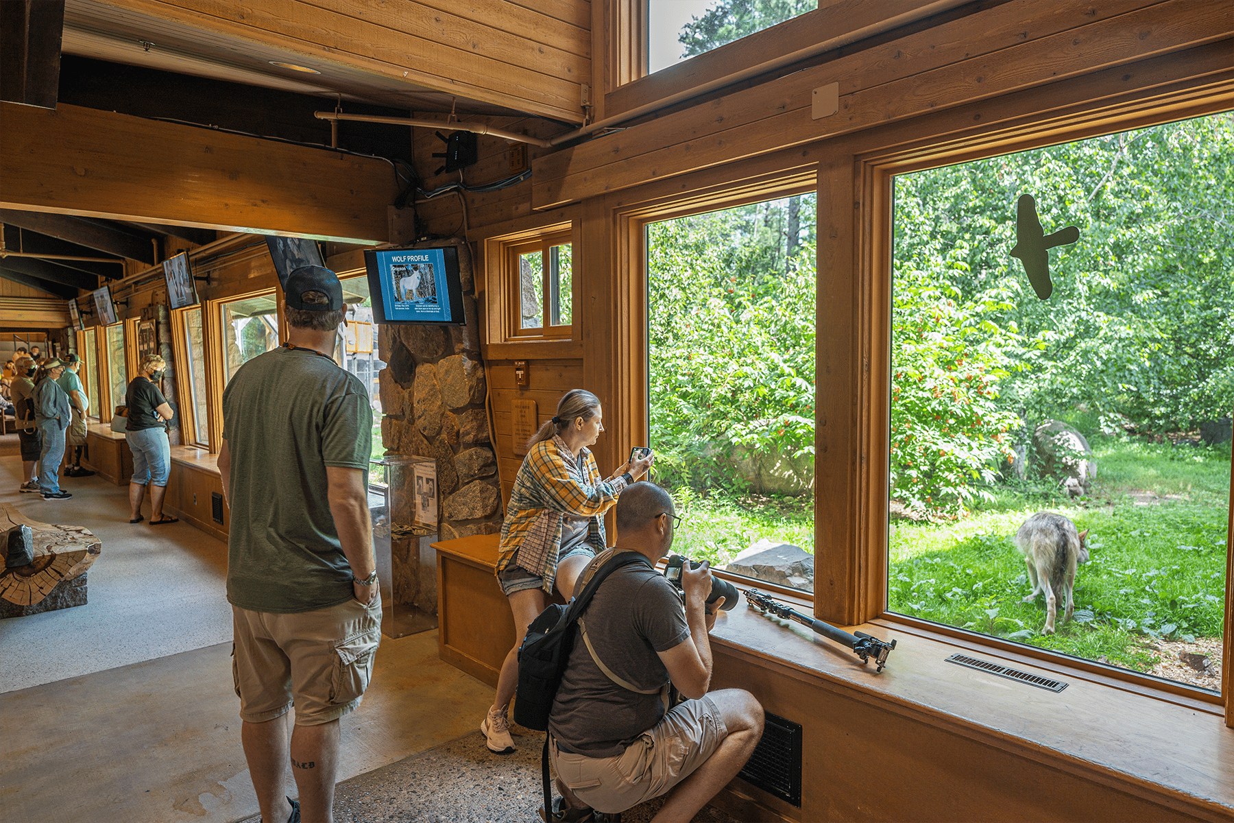 Picture frame, Interior design, Plant, Wood, Window, House, Leisure