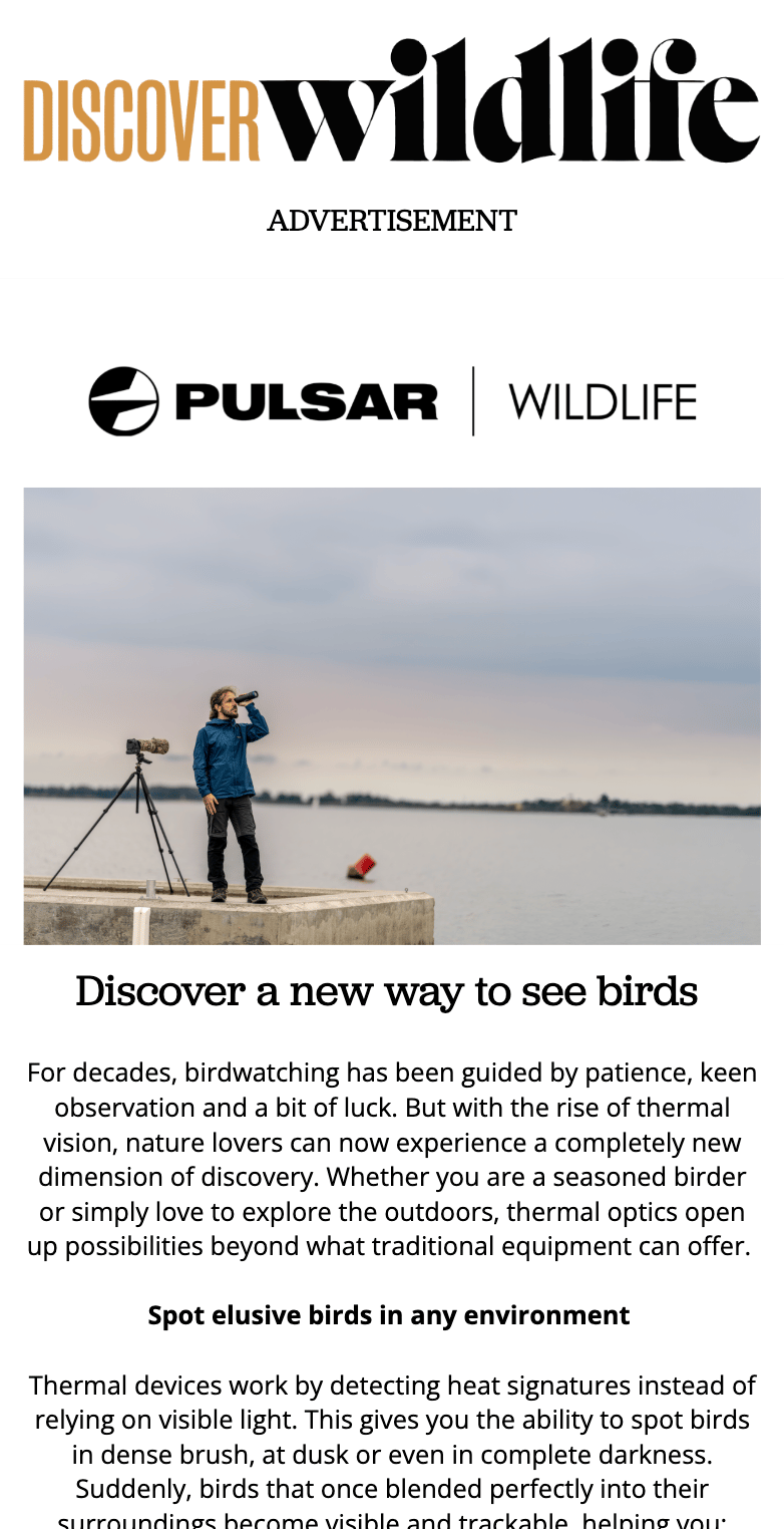 Pulsar Wildlife ad: Man birdwatching with thermal devices by water.