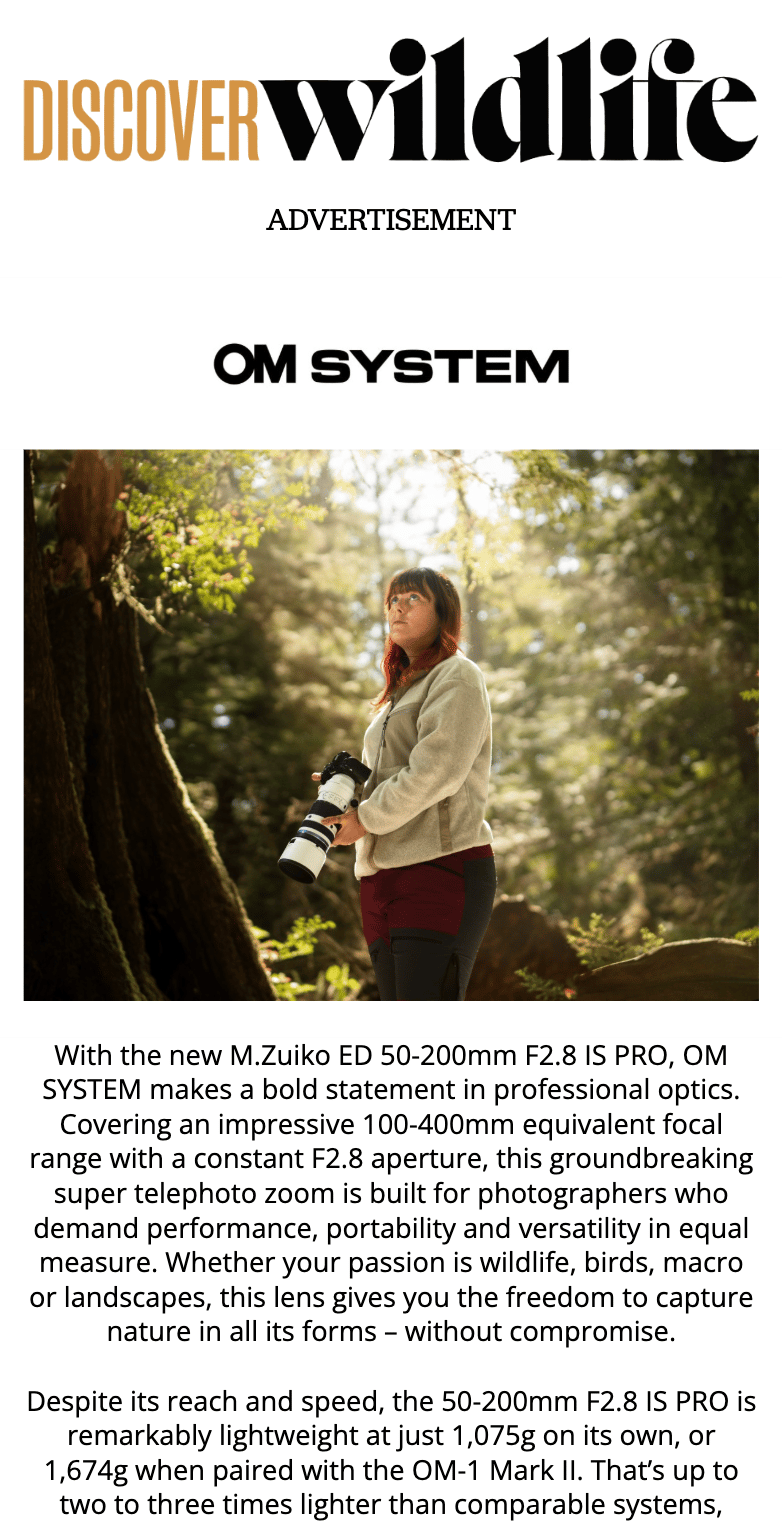 OM SYSTEM ad: Woman in forest with telephoto lens, promoting M.Zuiko ED 50-200mm.