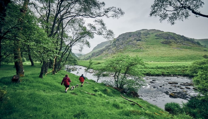 People in nature, Plant community, Natural landscape, Sky, Water, Tree, Mountain, Vegetation, Grass