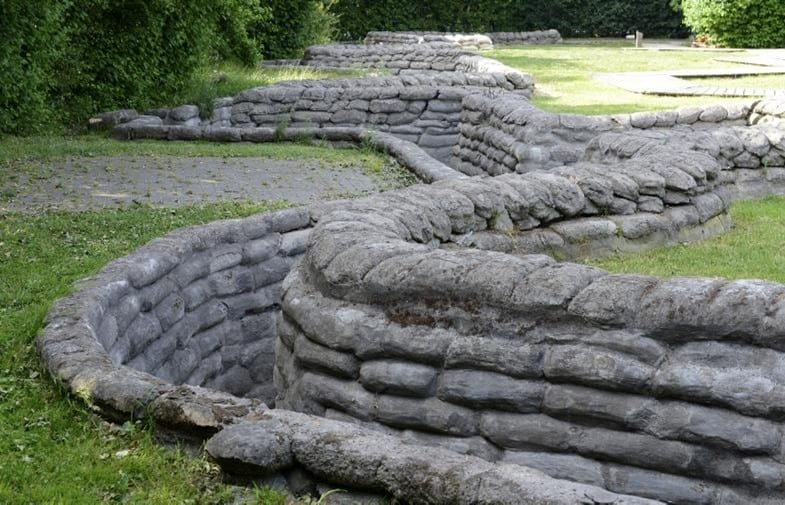 Automotive tire, Plant, Botany, Bedrock, Grass