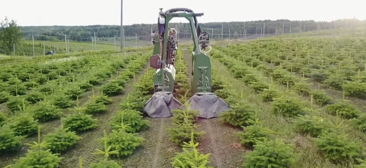 Land lot, Agricultural machinery, Plant, Tire, Vehicle, Grass, Agriculture
