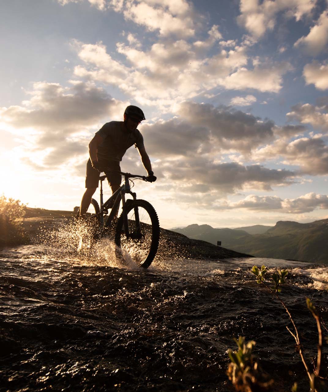 Bicycles--Equipment and supplies, Bicycle wheel, Cloud, Sky, Tire, Plant