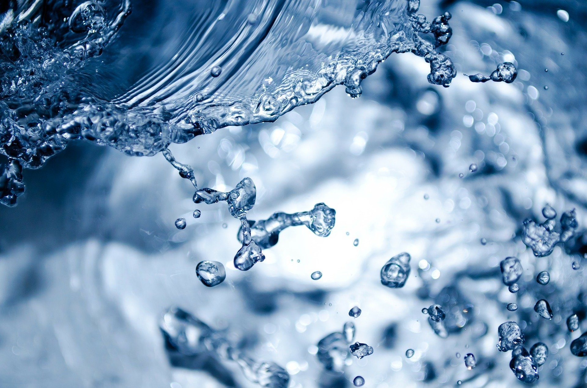 Water, Liquid, Azure, Fluid, Organism, Aqua, Freezing