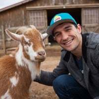 Smile, Photograph, Cap, Goat, Fawn, Happy