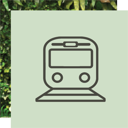 Line art icon of a train or tram on a light green background with a leafy border.