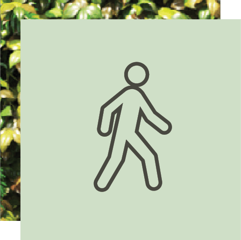 A dark outline icon of a person walking on a light green background, framed by blurred green foliage.