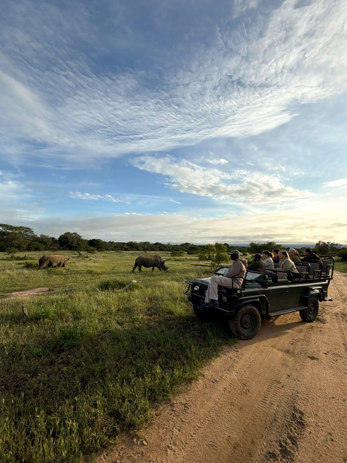 Safari vehicle with tourists viewing two rhinos grazing in a vast grassy savanna under a cloudy sky.