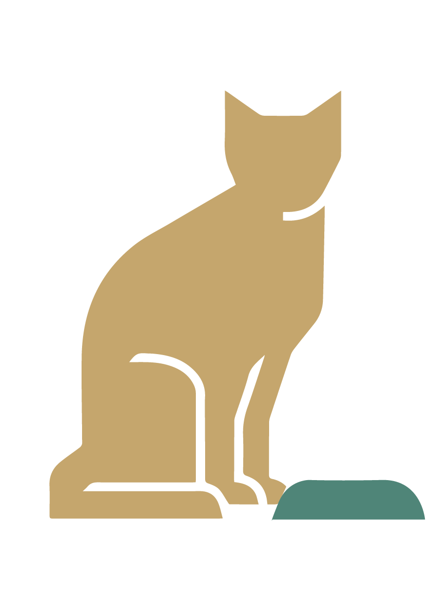 Small to medium-sized cats, Head, Cat, Felidae, Carnivore, Gesture, Fawn