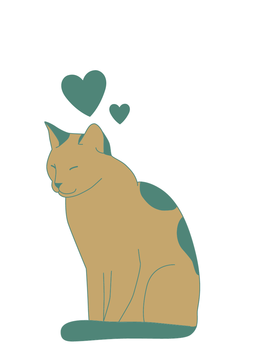 Small to medium-sized cats, Cat, Felidae, Carnivore, Gesture, Whiskers, Fawn