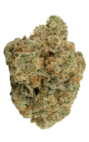 A bud of Z-Splitter cannabis.