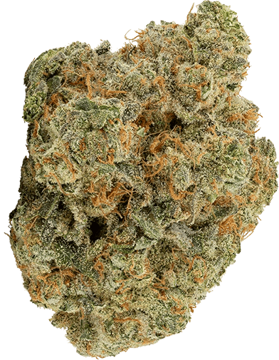 A bud of Z-Splitter cannabis.