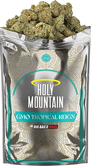 A pouch of Holy Mountain GMO Tropical Reign flower.